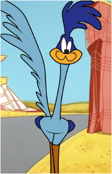 Road Runner's image