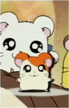 Hamtaro