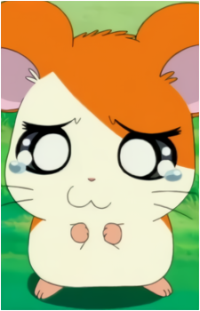 Hamtaro