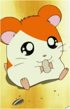 Hamtaro