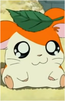Hamtaro