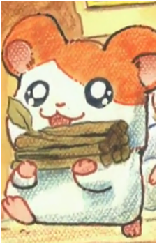 Hamtaro