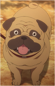 Pug {YnT}'s image