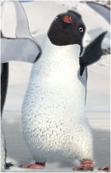 Rinaldo's image