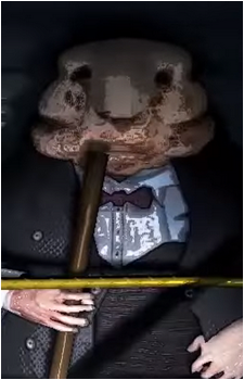 Butler's image