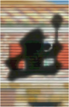 Bowser Jr.