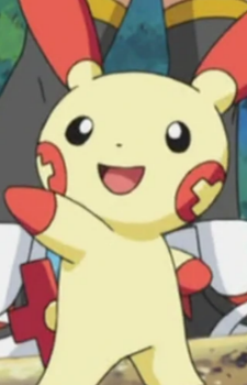 Plusle Image