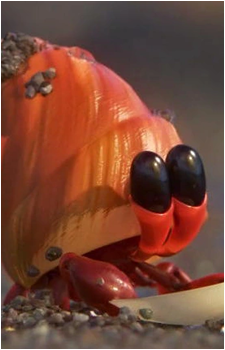 Hermit Crab's image