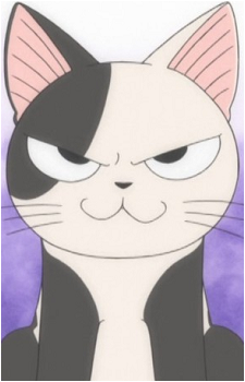 Kocchi