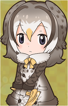 Kyūshū Owl