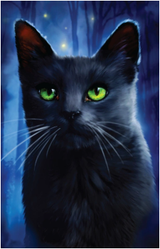 Nightpelt's image