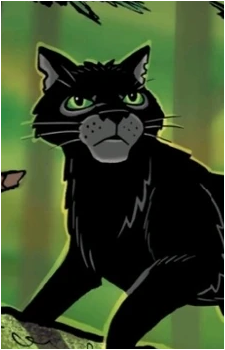 Nightpelt
