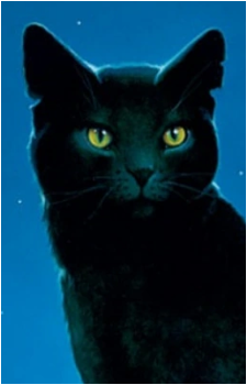 Nightpelt