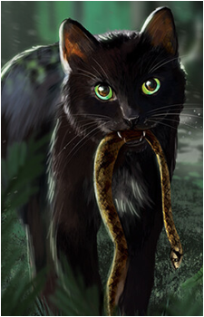 Ravenpaw's image
