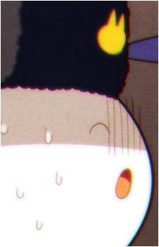 Image 7 Image 7