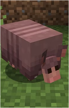 Armadillo
