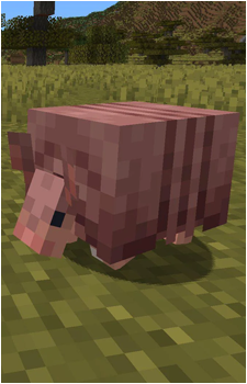 Armadillo's image