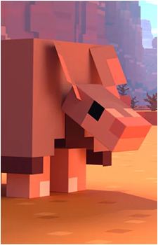 Armadillo