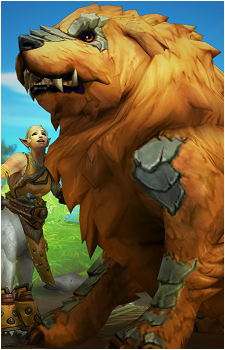 Taivan's image