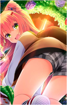 Hibiki Toyonaga