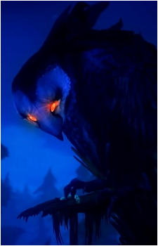 Image 3 Image 3