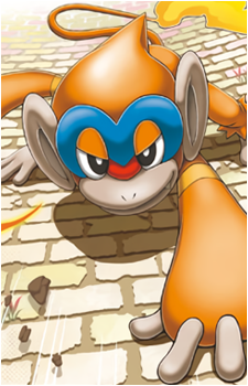 Image 30