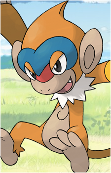 Chimchar