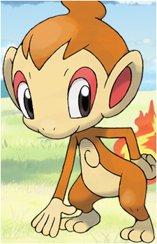 Chimchar's image