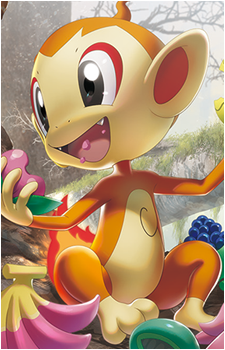 Image 20