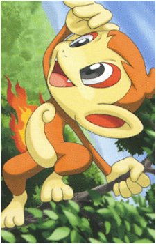 Image 24