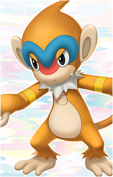 Chimchar