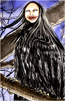 Black Bird {Ito}