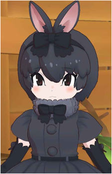 Amami Rabbit