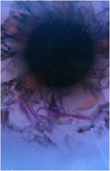 Image 35