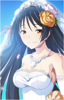 Akio Fudou