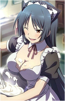 Akio Fudou