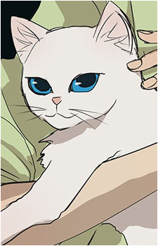 Mr. Purrfect's image