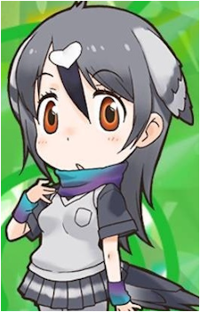 Rock Dove