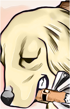 Noukan Kihara