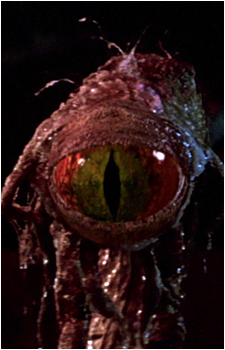 Image 1 Image 1