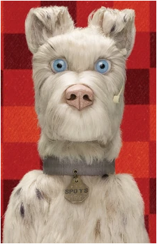 Spots's image