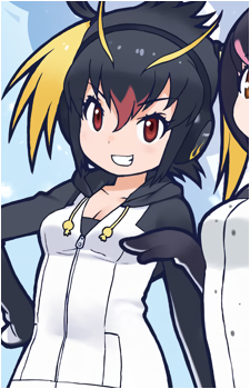 Rockhopper Penguin