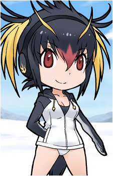 Rockhopper Penguin's image