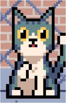 Street Cat's image