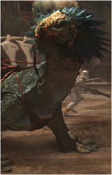 Boga