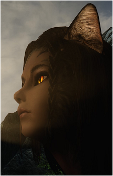 Image 2 Image 2
