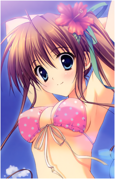 Image 3 Image 3