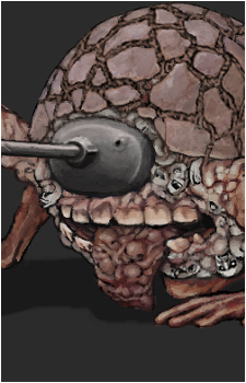 Platoon's image
