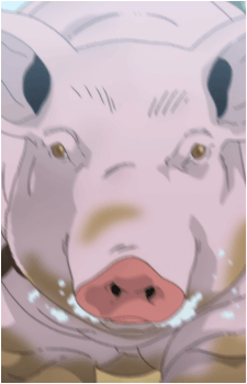 Image 7 Image 7
