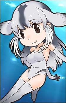 Bearded Seal's image